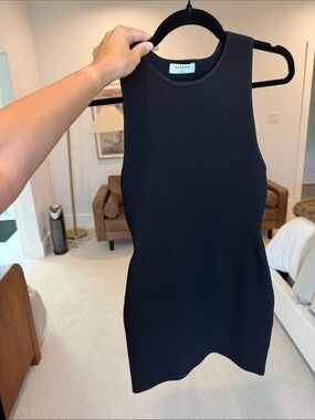aritzia Black Ribbed Tank Mini Dress
